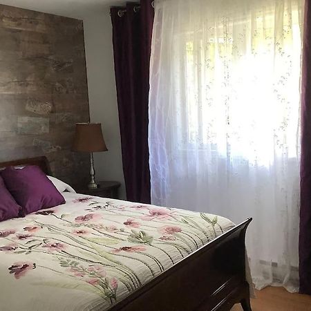 فيلا Chalet Pres Du Mont Megantic La Patrie المظهر الخارجي الصورة