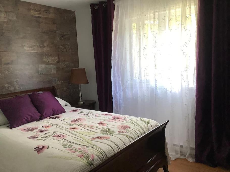 فيلا Chalet Pres Du Mont Megantic La Patrie المظهر الخارجي الصورة